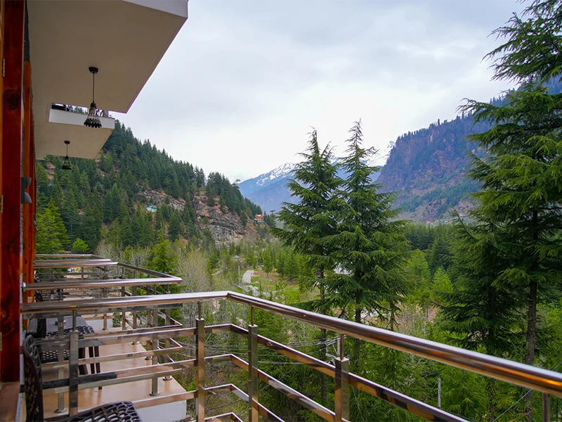 3 Star Hotel In Manali-Hotel Mountain Pearl-View